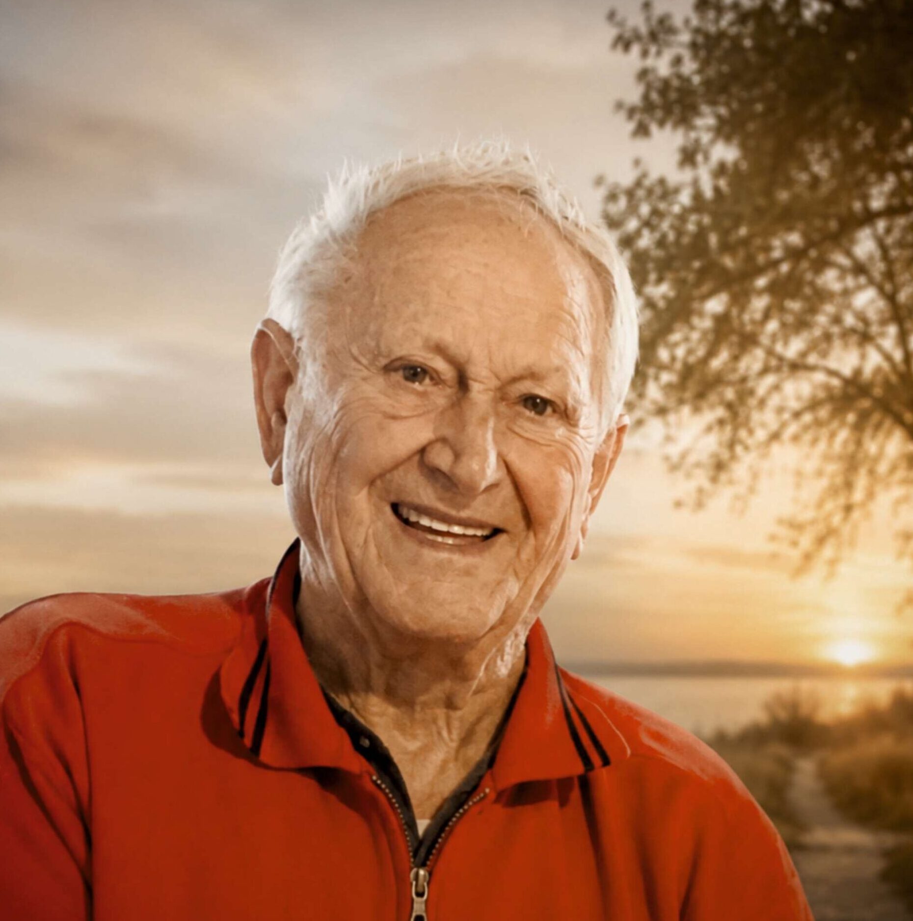 partner-Josef Nöbaur 